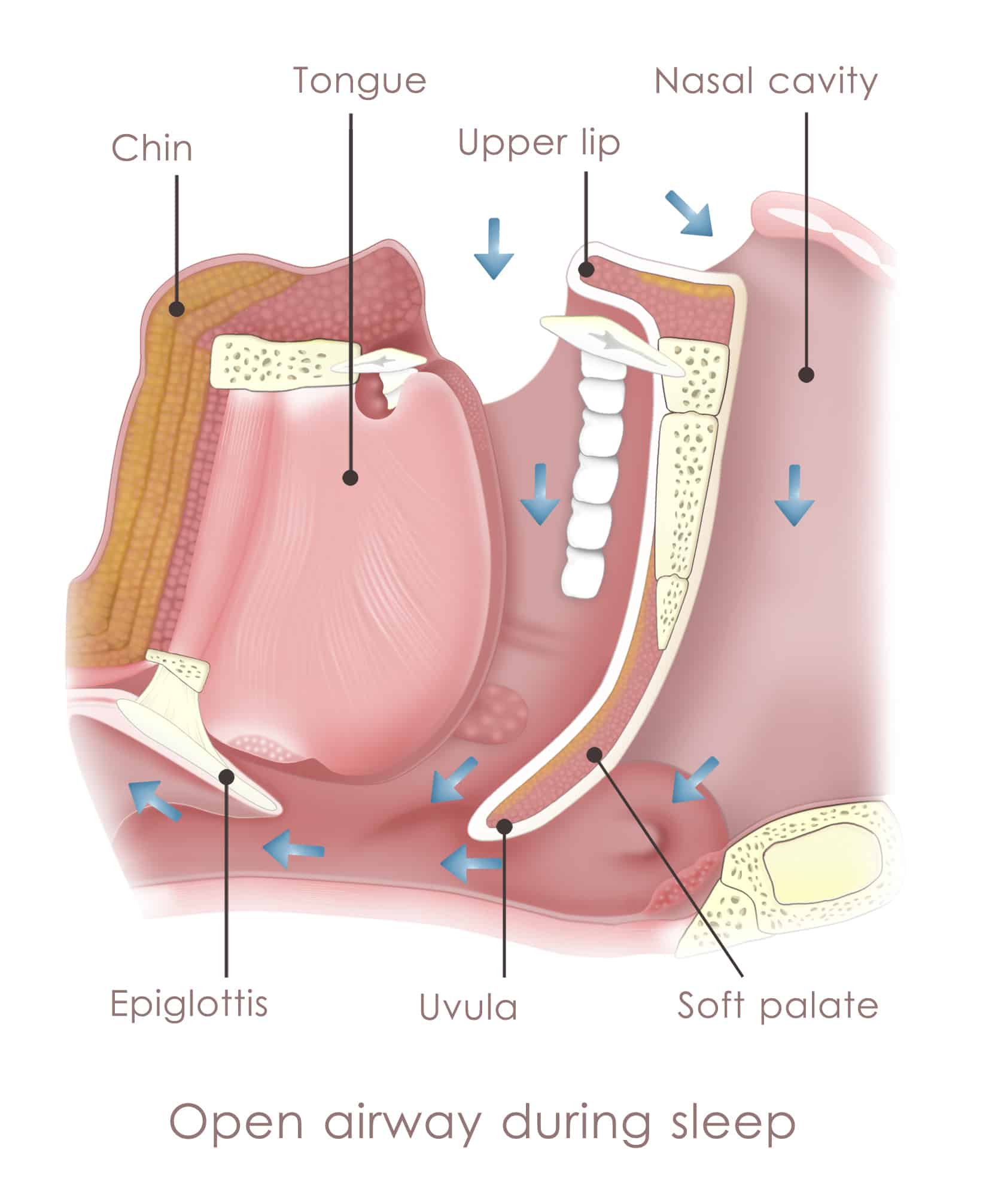 Sleep Apnea Treatments Lansing, MI